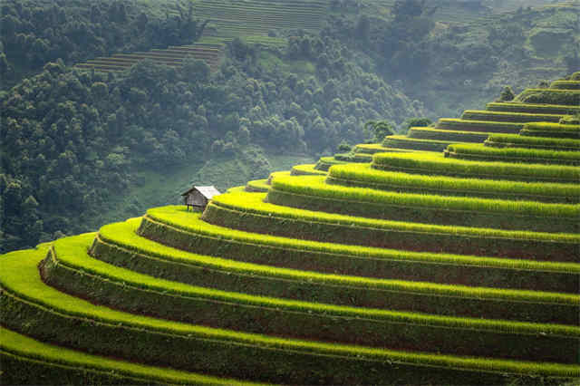 英国惠灵顿公学伙食费